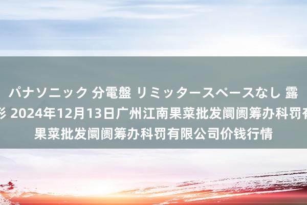 パナソニック 分電盤 リミッタースペースなし 露出・半埋込両用形 2024年12月13日广州江南果菜批发阛阓筹办科罚有限公司价钱行情