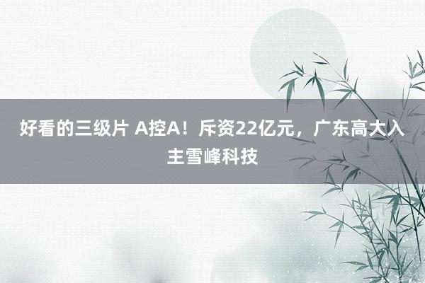 好看的三级片 A控A！斥资22亿元，广东高大入主雪峰科技