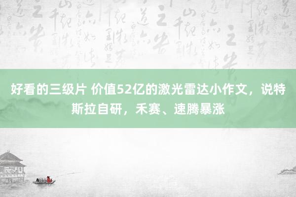 好看的三级片 价值52亿的激光雷达小作文，说特斯拉自研，禾赛、速腾暴涨