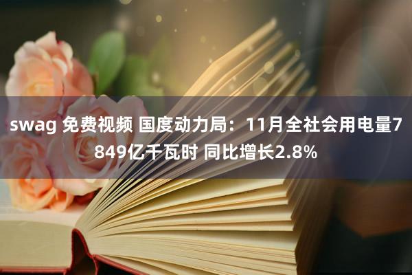 swag 免费视频 国度动力局：11月全社会用电量7849亿千瓦时 同比增长2.8%