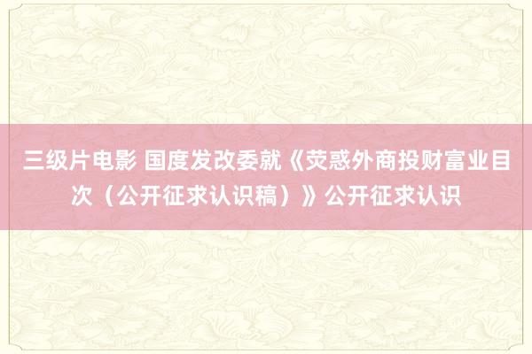 三级片电影 国度发改委就《荧惑外商投财富业目次（公开征求认识稿）》公开征求认识