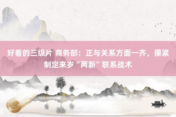 好看的三级片 商务部：正与关系方面一齐，攥紧制定来岁“两新”联系战术