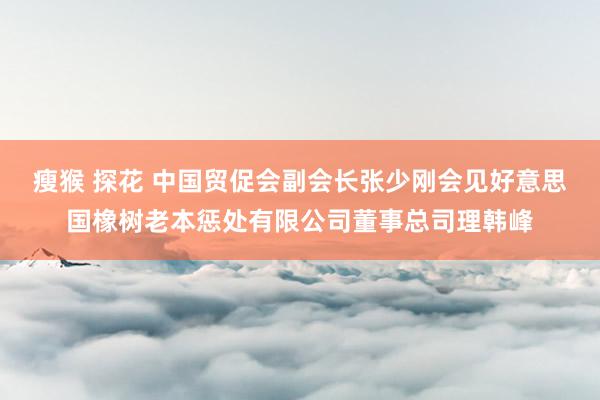 瘦猴 探花 中国贸促会副会长张少刚会见好意思国橡树老本惩处有限公司董事总司理韩峰