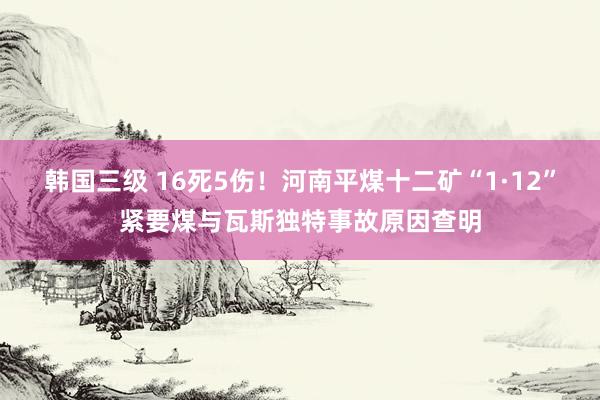 韩国三级 16死5伤！河南平煤十二矿“1·12”紧要煤与瓦斯独特事故原因查明