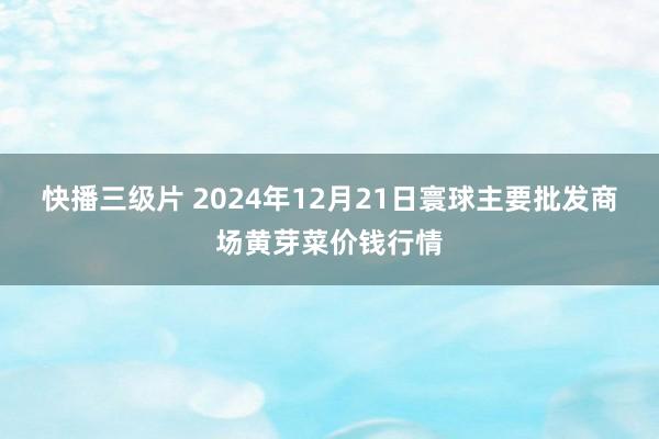 快播三级片 2024年12月21日寰球主要批发商场黄芽菜价钱行情