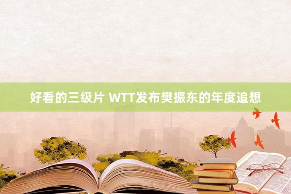 好看的三级片 WTT发布樊振东的年度追想