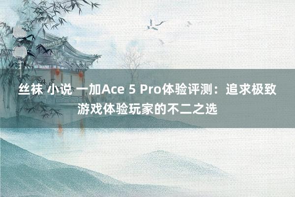 丝袜 小说 一加Ace 5 Pro体验评测：追求极致游戏体验玩家的不二之选