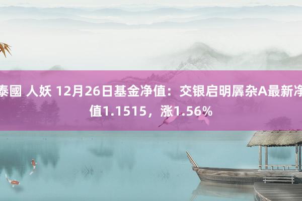 泰國 人妖 12月26日基金净值：交银启明羼杂A最新净值1.1515，涨1.56%