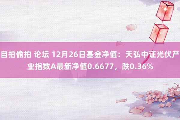 自拍偷拍 论坛 12月26日基金净值：天弘中证光伏产业指数A最新净值0.6677，跌0.36%