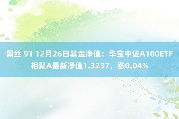 黑丝 91 12月26日基金净值：华宝中证A100ETF相聚A最新净值1.3237，涨0.04%