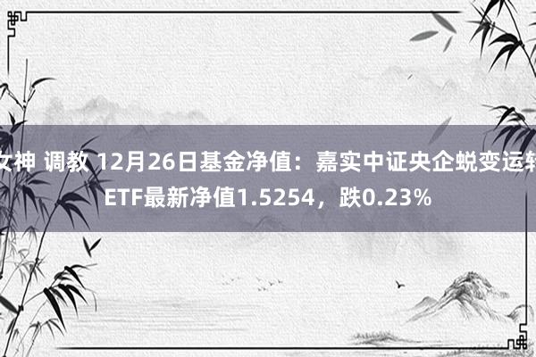 女神 调教 12月26日基金净值：嘉实中证央企蜕变运转ETF最新净值1.5254，跌0.23%