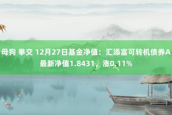 母狗 拳交 12月27日基金净值：汇添富可转机债券A最新净值1.8431，涨0.11%