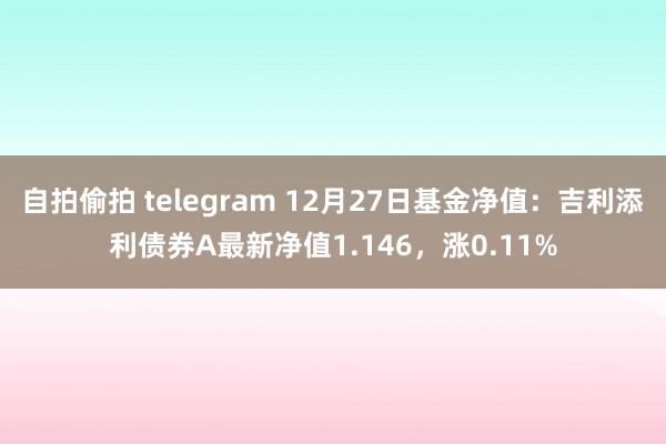 自拍偷拍 telegram 12月27日基金净值：吉利添利债券A最新净值1.146，涨0.11%