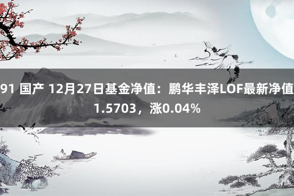 91 国产 12月27日基金净值：鹏华丰泽LOF最新净值1.5703，涨0.04%