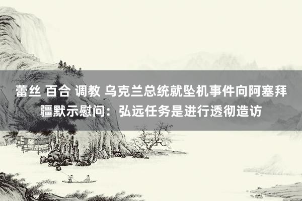 蕾丝 百合 调教 乌克兰总统就坠机事件向阿塞拜疆默示慰问：弘远任务是进行透彻造访