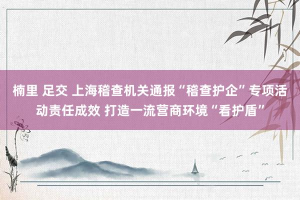 楠里 足交 上海稽查机关通报“稽查护企”专项活动责任成效 打造一流营商环境“看护盾”