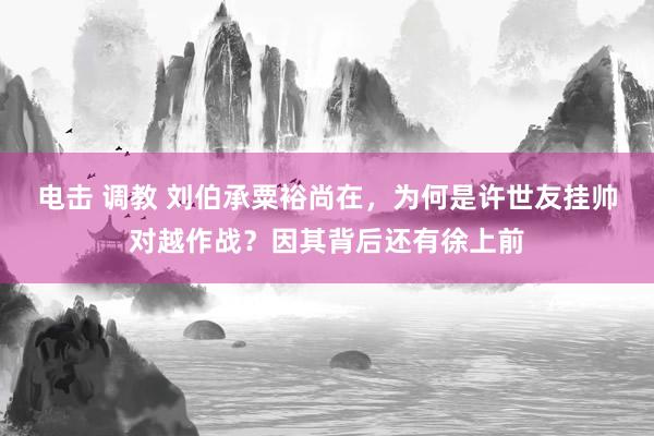 电击 调教 刘伯承粟裕尚在，为何是许世友挂帅对越作战？因其背后还有徐上前