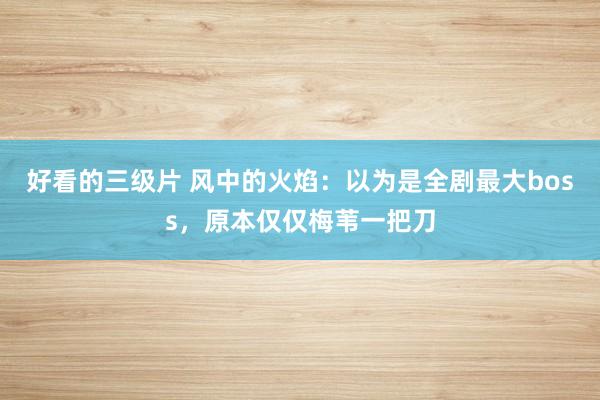 好看的三级片 风中的火焰：以为是全剧最大boss，原本仅仅梅苇一把刀