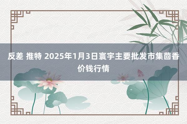 反差 推特 2025年1月3日寰宇主要批发市集茴香价钱行情