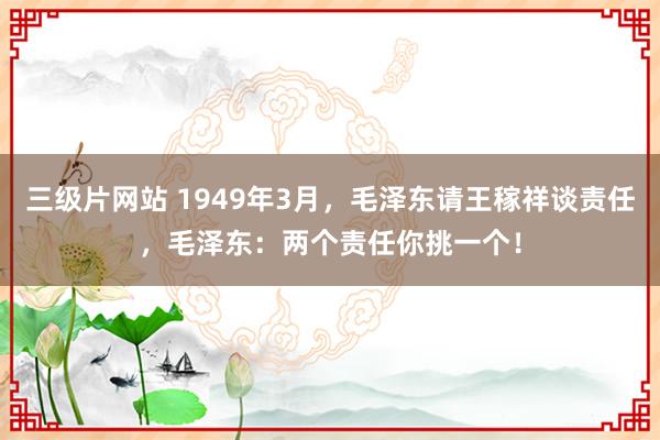 三级片网站 1949年3月，毛泽东请王稼祥谈责任，毛泽东：两个责任你挑一个！