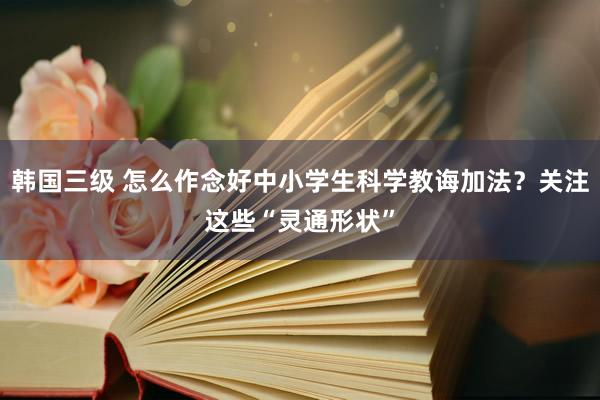 韩国三级 怎么作念好中小学生科学教诲加法？关注这些“灵通形状”