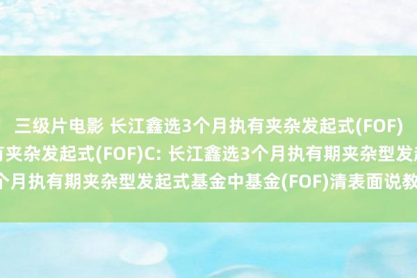 三级片电影 长江鑫选3个月执有夹杂发起式(FOF)A，长江鑫选3个月执有夹杂发起式(FOF)C: 长江鑫选3个月执有期夹杂型发起式基金中基金(FOF)清表面说教导性公告