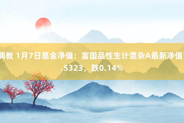 调教 1月7日基金净值：富国品性生计混杂A最新净值1.5323，跌0.14%