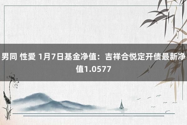 男同 性愛 1月7日基金净值：吉祥合悦定开债最新净值1.0577