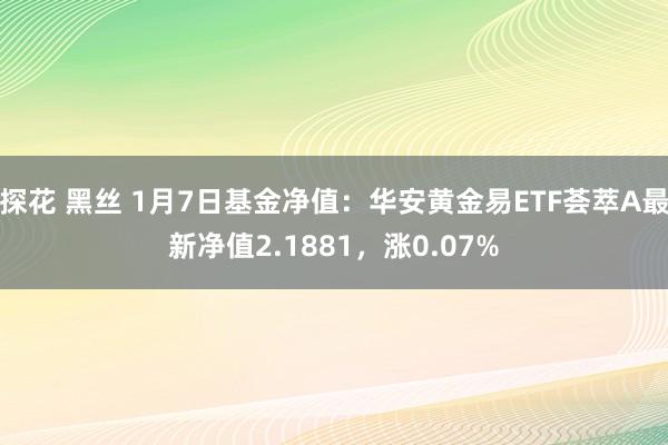 探花 黑丝 1月7日基金净值：华安黄金易ETF荟萃A最新净值2.1881，涨0.07%