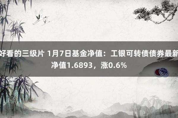 好看的三级片 1月7日基金净值：工银可转债债券最新净值1.6893，涨0.6%