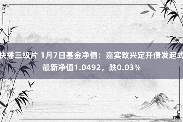 快播三级片 1月7日基金净值：嘉实致兴定开债发起式最新净值1.0492，跌0.03%