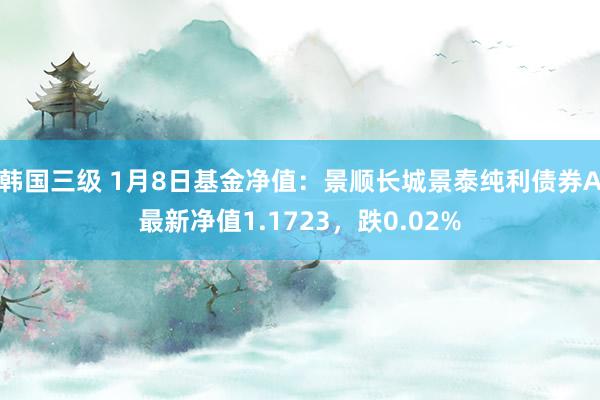 韩国三级 1月8日基金净值：景顺长城景泰纯利债券A最新净值1.1723，跌0.02%