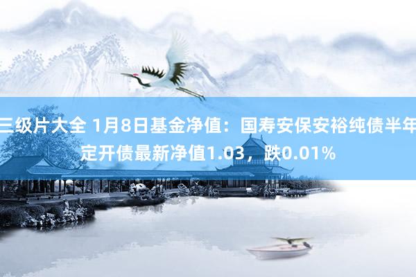 三级片大全 1月8日基金净值：国寿安保安裕纯债半年定开债最新净值1.03，跌0.01%