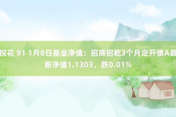 探花 91 1月8日基金净值：招商招乾3个月定开债A最新净值1.1303，跌0.01%