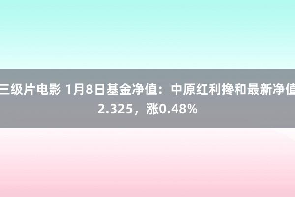 三级片电影 1月8日基金净值：中原红利搀和最新净值2.325，涨0.48%