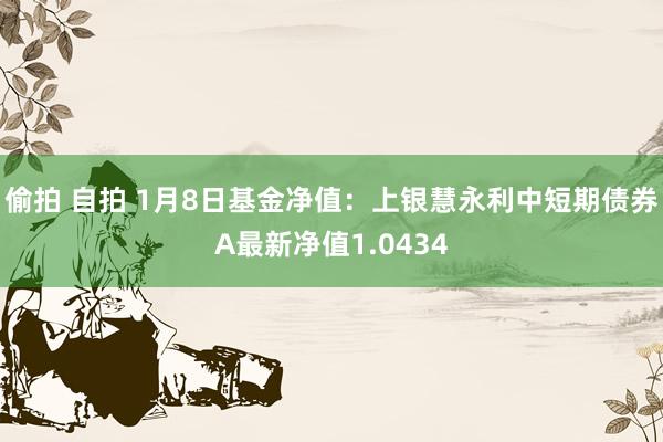 偷拍 自拍 1月8日基金净值：上银慧永利中短期债券A最新净值1.0434