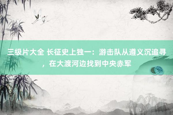 三级片大全 长征史上独一：游击队从遵义沉追寻，在大渡河边找到中央赤军