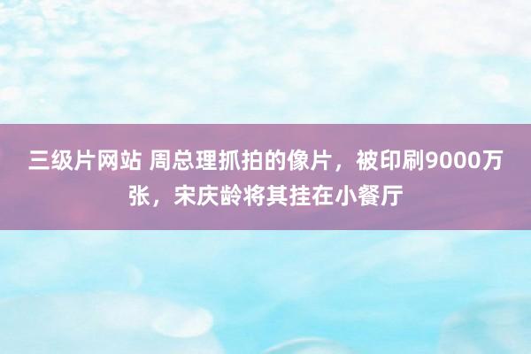 三级片网站 周总理抓拍的像片，被印刷9000万张，宋庆龄将其挂在小餐厅