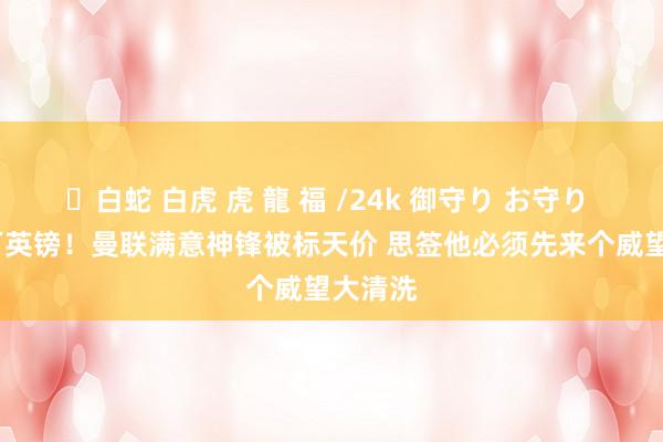 ✨白蛇 白虎 虎 龍 福 /24k 御守り お守り 8000万英镑！曼联满意神锋被标天价 思签他必须先来个威望大清洗