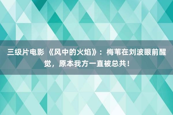 三级片电影 《风中的火焰》：梅苇在刘波眼前醒觉，原本我方一直被总共！