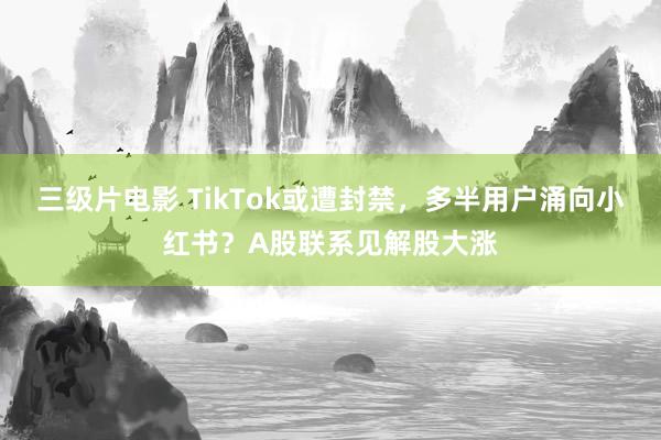 三级片电影 TikTok或遭封禁，多半用户涌向小红书？A股联系见解股大涨