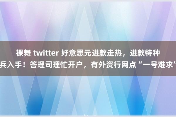 裸舞 twitter 好意思元进款走热，进款特种兵入手！答理司理忙开户，有外资行网点“一号难求”