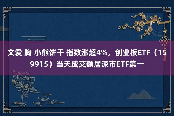 文爱 胸 小熊饼干 指数涨超4%，创业板ETF（159915）当天成交额居深市ETF第一