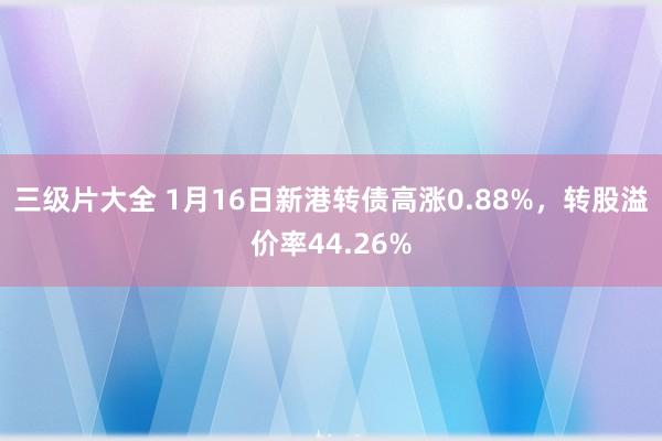 三级片大全 1月16日新港转债高涨0.88%，转股溢价率44.26%