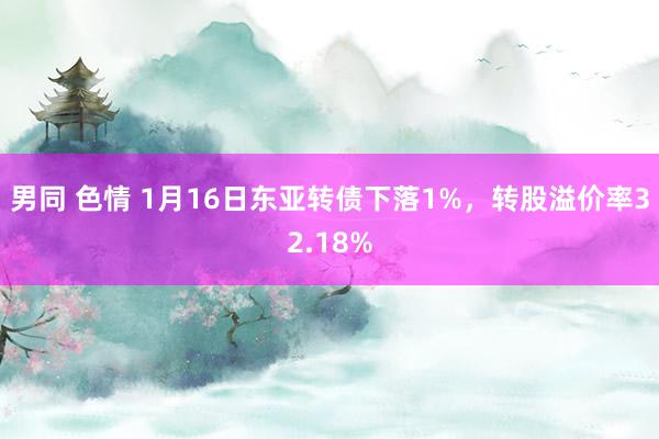 男同 色情 1月16日东亚转债下落1%，转股溢价率32.18%