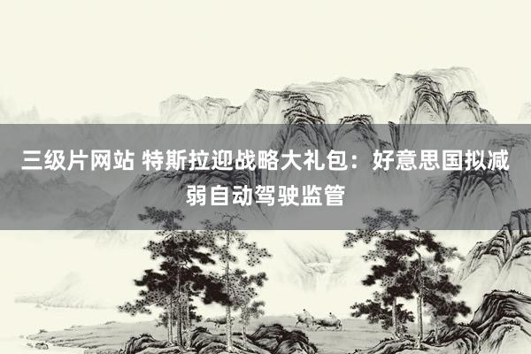 三级片网站 特斯拉迎战略大礼包：好意思国拟减弱自动驾驶监管