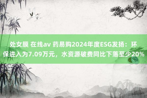处女膜 在线av 药易购2024年度ESG发扬：环保进入为7.09万元，水资源破费同比下落至少20%